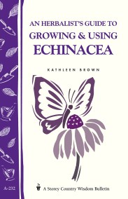 An Herbalist’s Guide to Growing & Using Echinacea